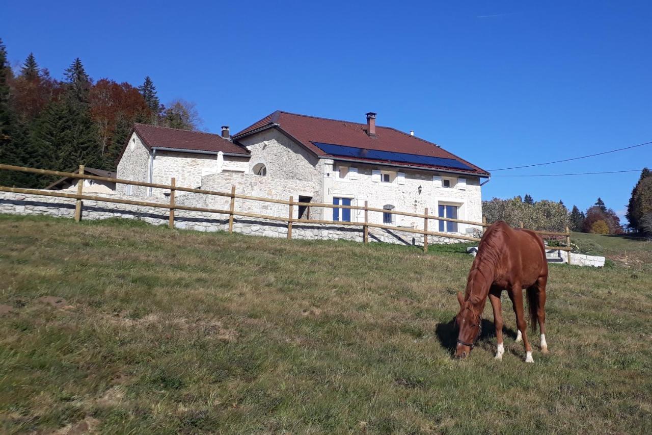 Chambres D'Hote Des 3 Marches Lamoura Eksteriør billede